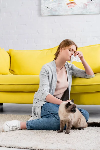 Mujer joven con sensación de servilleta reacción alérgica cerca de gato siamés en la alfombra - foto de stock