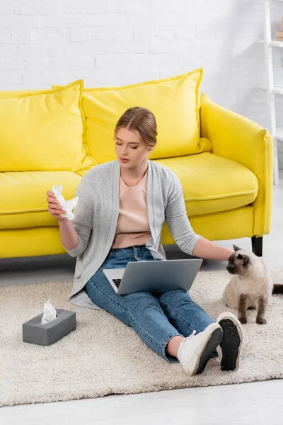Donna con computer portatile che prende il tovagliolo durante allergia vicino al gatto siamese — Foto stock