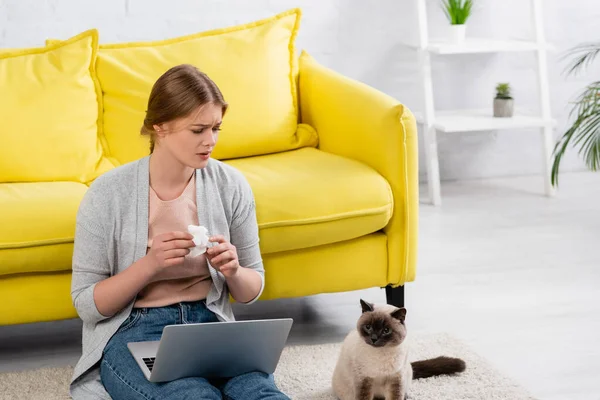 Trauriger Freiberufler mit Serviette bei Allergie und Blick auf siamesische Katze auf Teppich — Stockfoto