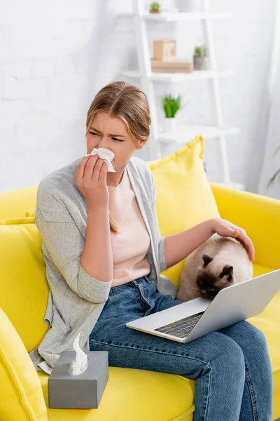 Donna con laptop che soffre di reazione allergica vicino al gatto siamese — Foto stock