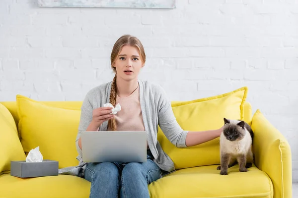 Жінка з ноутбуком і серветкою дивиться на камеру під час алергії поблизу сіамської кішки — стокове фото