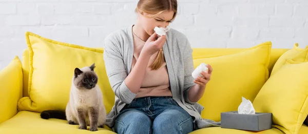 Woman holding pills and napkin during allergy near siamese cat on sofa, banner — Stock Photo