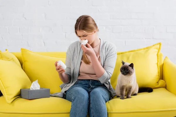 Mujer con alergia sosteniendo servilleta durante el snuffle y pastillas cerca peludo siamés gato - foto de stock
