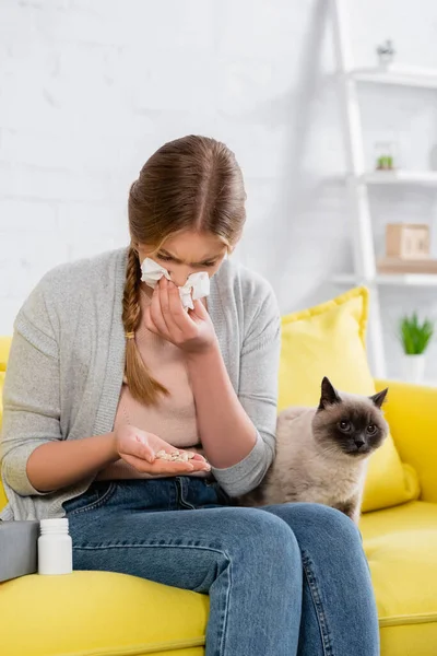 Mujer con snuffle mirando píldoras durante la alergia cerca peludo siamés gato - foto de stock