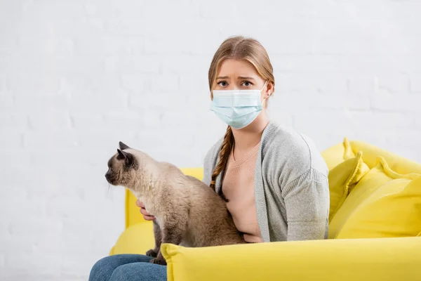 Mujer con alergia usando máscara médica y acariciando gato siamés en sofá amarillo - foto de stock