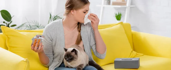 Young woman holding blisters with pills during allergy snuffle near siamese cat, banner - foto de stock