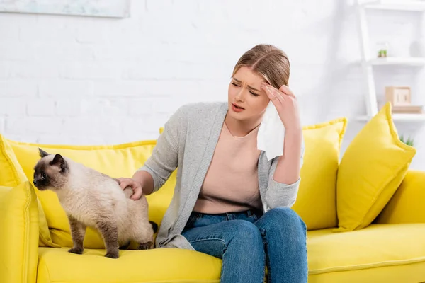 Tired woman with allergy holding napkin near siamese cat — Stock Photo