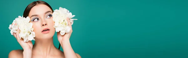 Pretty woman looking away while holding white peonies isolated on green, banner — Stock Photo