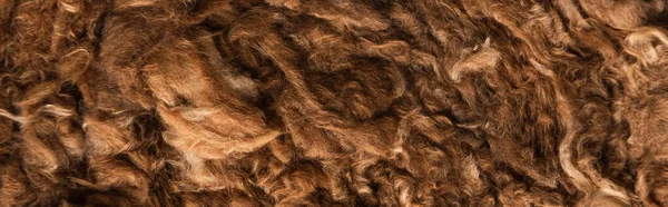 Fondo de marrón, alfombra artificial esponjosa, vista superior, bandera - foto de stock