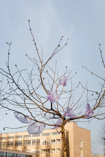 Bolsas de celofán en el árbol en la ciudad contra el cielo azul, concepto de ecología - foto de stock