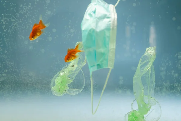 Máscara médica cerca de peces de colores y basura de polietileno en el agua, concepto de ecología - foto de stock