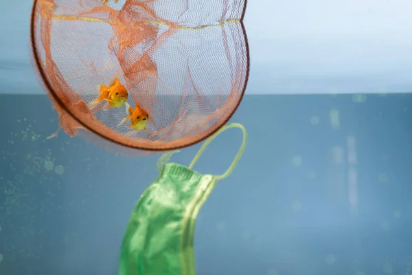 Сеть с золотыми рыбками возле медицинской маски в воде, экологическая концепция — стоковое фото