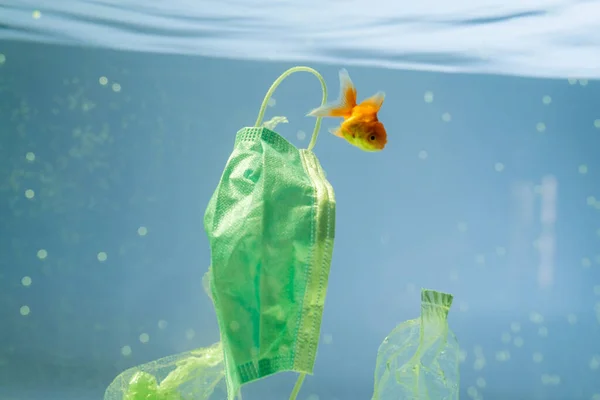 Máscara médica cerca de bolsas de plástico y peces de colores en el agua, concepto de ecología - foto de stock