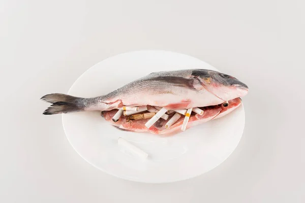 Ausgenommener Fisch auf Teller in der Nähe von Zigarettenenden auf weißer Oberfläche, ökologisches Konzept — Stockfoto