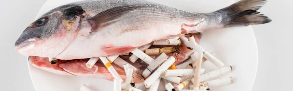 Ausgenommener Fisch in der Nähe von Zigarettenenden auf weißem Teller, Umweltkonzept, Banner — Stockfoto