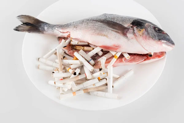 Верхний вид выпотрошенной рыбы рядом с концами сигарет на белом, экологическая концепция — стоковое фото