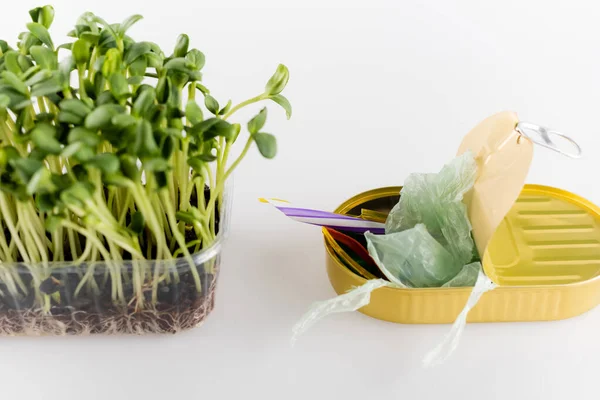 Dose mit Müll in der Nähe von Jungpflanzen, die im Plastikbehälter auf weiß wachsen, ökologisches Konzept — Stockfoto