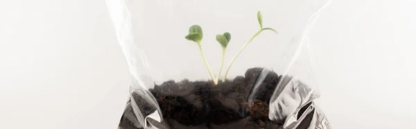 Bolsa de celofán con plantas molidas y jóvenes aisladas en blanco, concepto de ecología, pancarta - foto de stock