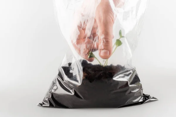 Vista parcial del hombre sacando plantas jóvenes de la bolsa de plástico en blanco, concepto de ecología - foto de stock