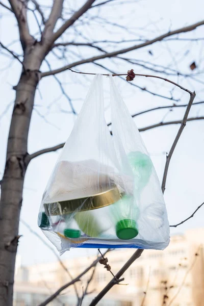 Zellophanbeutel mit Plastikflaschen und Dose auf Baum, ökologisches Konzept — Stockfoto