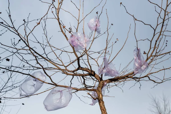 Vista de ángulo bajo de la bolsa de plástico en el árbol contra el cielo azul, concepto de ecología - foto de stock