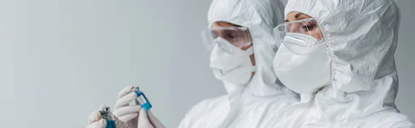Scientists holding vaccines isolated on grey, banner — Stock Photo