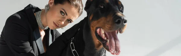 Mujer elegante mirando a la cámara cerca del perro doberman sobre fondo gris, pancarta - foto de stock