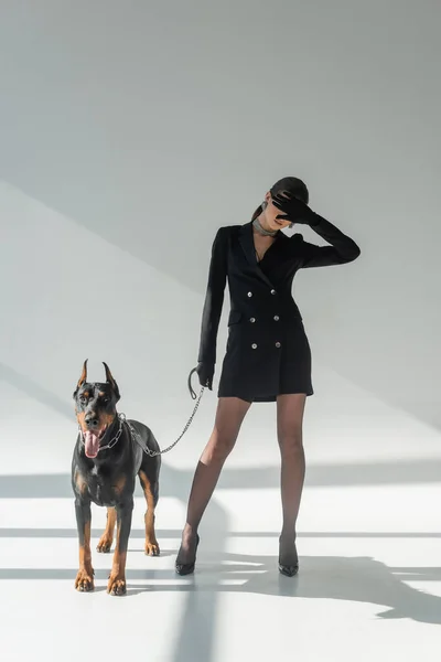 Elegante Frau verschleiert Gesicht mit Hand neben Dobermann an Kettenleine auf grauem Hintergrund mit Schatten — Stockfoto