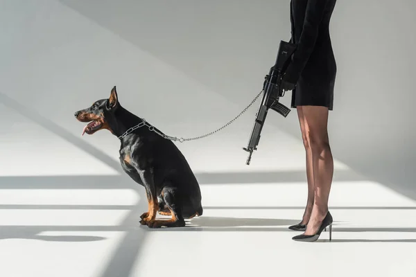 Vista recortada de mujer elegante con rifle cerca de doberman con correa de cadena sobre fondo gris con sombras - foto de stock