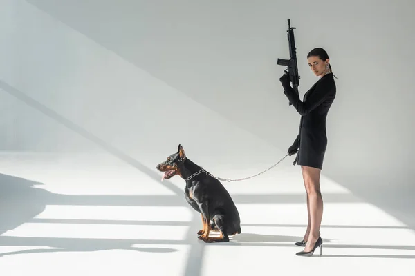 Confident woman with rifle near doberman on chain leash on grey background with shadows — Stock Photo