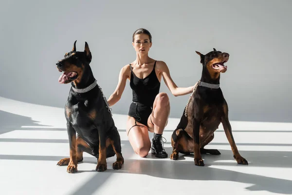 Morena mujer en traje negro mirando a la cámara cerca de dobermans sobre fondo gris con sombras - foto de stock