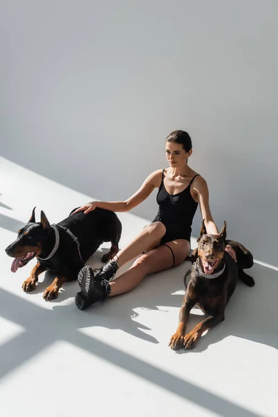 Vista de ángulo alto de la mujer joven en traje de cuerpo sentado cerca de dobermans en tonto blanco con sombras grises - foto de stock