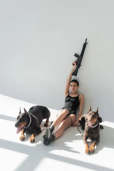 Brunette femme tenant fusil dans la main levée près de dobermans sur fond gris avec des ombres — Photo de stock