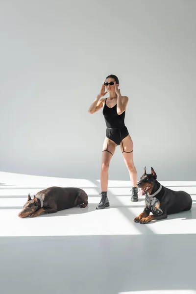 Woman in black bodysuit adjusting sunglasses near dobermans on grey background with shadows — Stock Photo