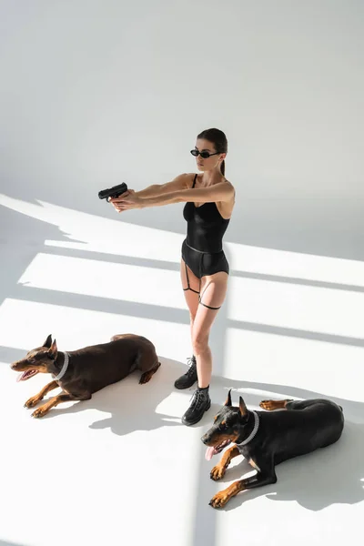 Sexy woman in bodysuit aiming with gun near dobermans on grey background with shadows — Stock Photo