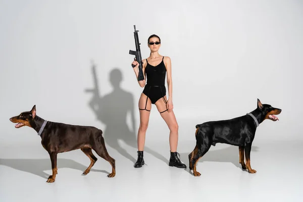 Full length view of woman in black bodysuit standing with rifle near dobermans on grey background with shadows — Stock Photo