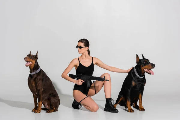 Sexy mujer en body y gafas de sol sosteniendo rifle cerca dobermans sobre fondo gris - foto de stock