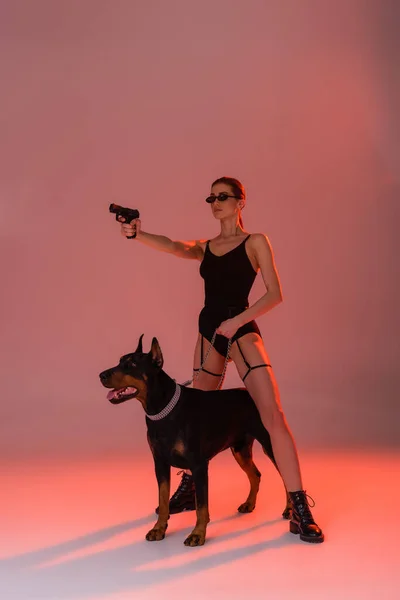 Brunette woman in bodysuit aiming with gun near doberman on pink background with yellow light — Stock Photo