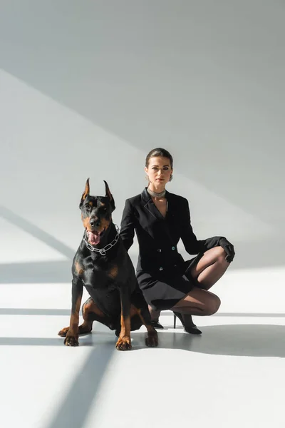 Elegante mujer en blazer negro vestido cerca perro doberman sobre fondo gris con sombras - foto de stock