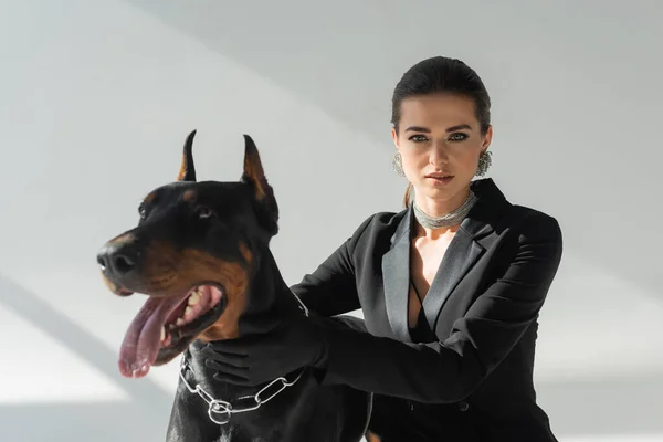 Mulher elegante olhando para a câmera perto doberman no fundo cinza com sombras — Fotografia de Stock