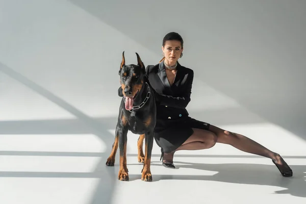 Mujer con estilo en vestido de chaqueta negro posando cerca perro doberman sobre fondo gris con sombras - foto de stock