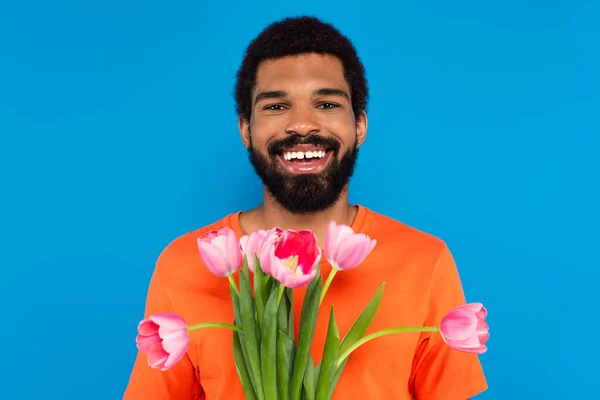 Sonriente afroamericano hombre sosteniendo tulipanes rosados aislados en azul - foto de stock