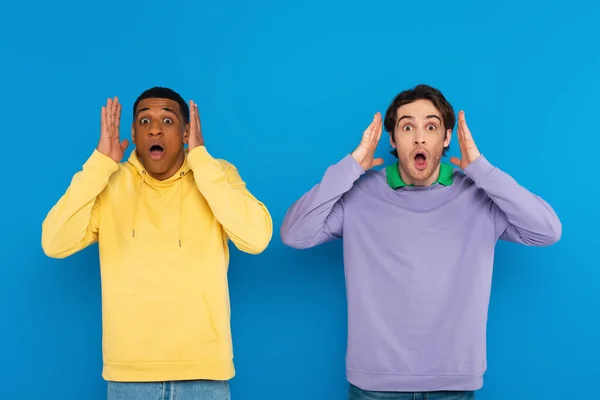 Amigos interracial asustados mirando la cámara y cubriendo las orejas con las manos aisladas en azul - foto de stock