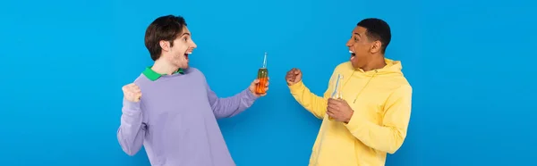 Feliz interracial amigos celebrando con botellas de cerveza aislado en azul, bandera - foto de stock