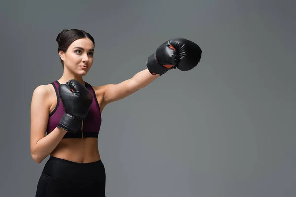 Confident sportswoman training in boxing gloves isolated on grey - foto de stock