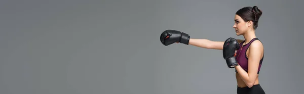 Side view of sportive woman training in boxing gloves isolated on grey, banner — Stock Photo