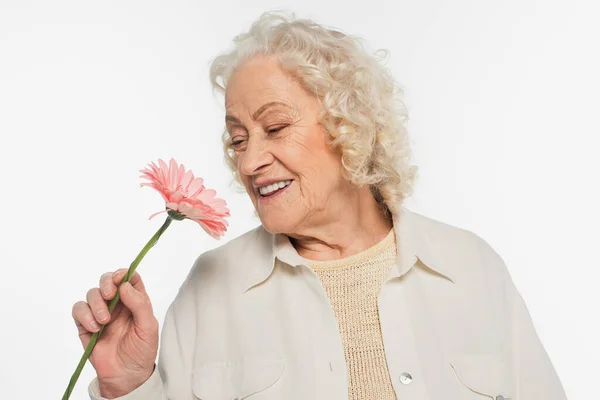 Smiling elderly woman holding pink gerbera flower isolated on white — Stock Photo