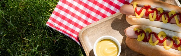 Vue du dessus des hot-dogs et de la moutarde dans un bol près de la serviette de table à carreaux sur herbe verte, bannière — Photo de stock