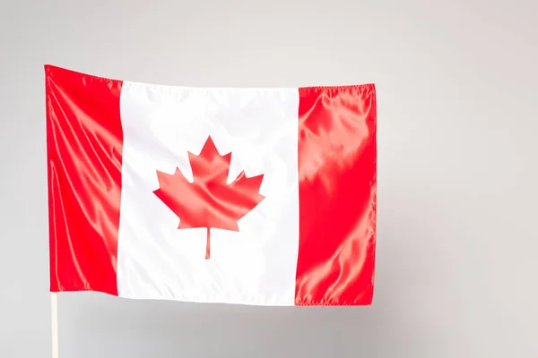 Bandera de Canadá blanca con hoja de arce roja aislada en gris — Stock Photo