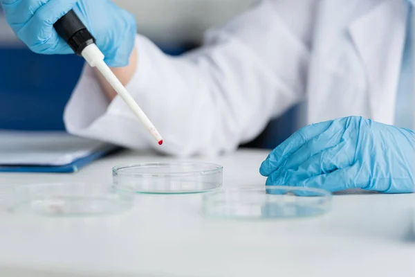 Vista cortada do cientista segurando pipeta perto de placas de Petri em laboratório — Fotografia de Stock